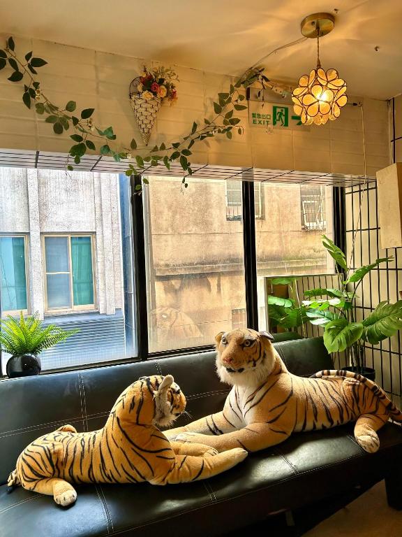 Domácí mazlíčci ubytovaní s hosty v ubytování Taipei Triple Tiger Inn