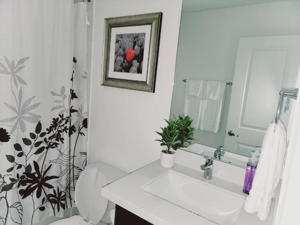 a bathroom with a sink and a toilet and a mirror at Chorburjo Cozy Villa - Deluxe Room in Penetanguishene