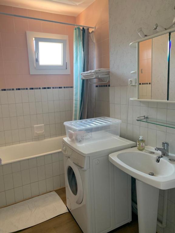 ein Badezimmer mit einer Waschmaschine und einem Waschbecken in der Unterkunft Appartement au plan d'eau - chez Laurence in Embrun