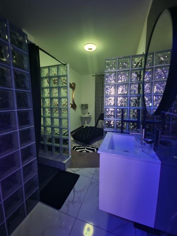 Appartement spacieux MULHOUSE – photo 10