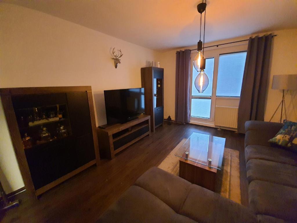 TV a/nebo společenská místnost v ubytování Ferienwohnung Geiseltalsee