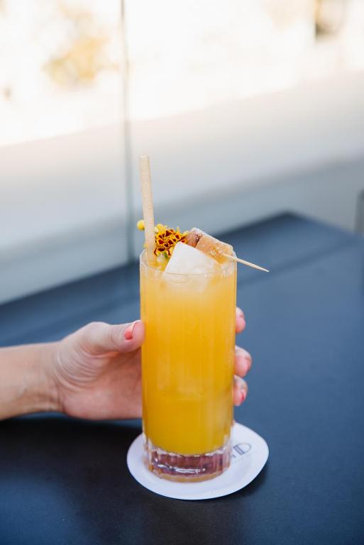 MYR Marqués House - Resim 27