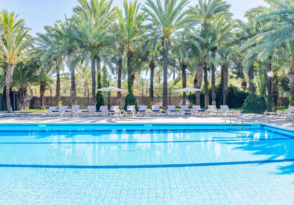 a swimming pool with chairs and palm trees at Jardín Milenio in Elche