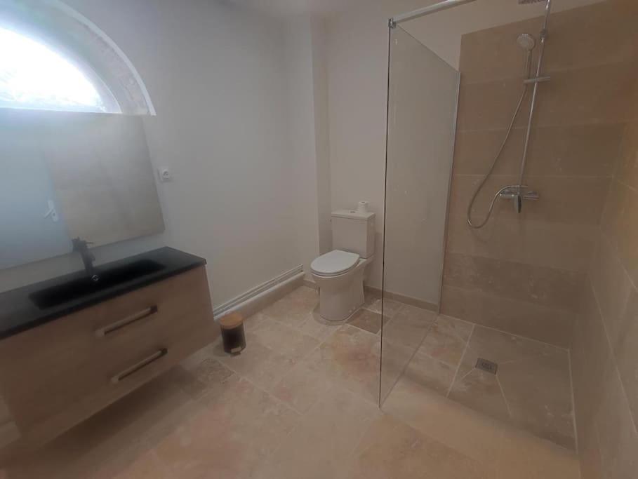 a bathroom with a glass shower and a toilet at Le Relais des Cigognes in Marlieux