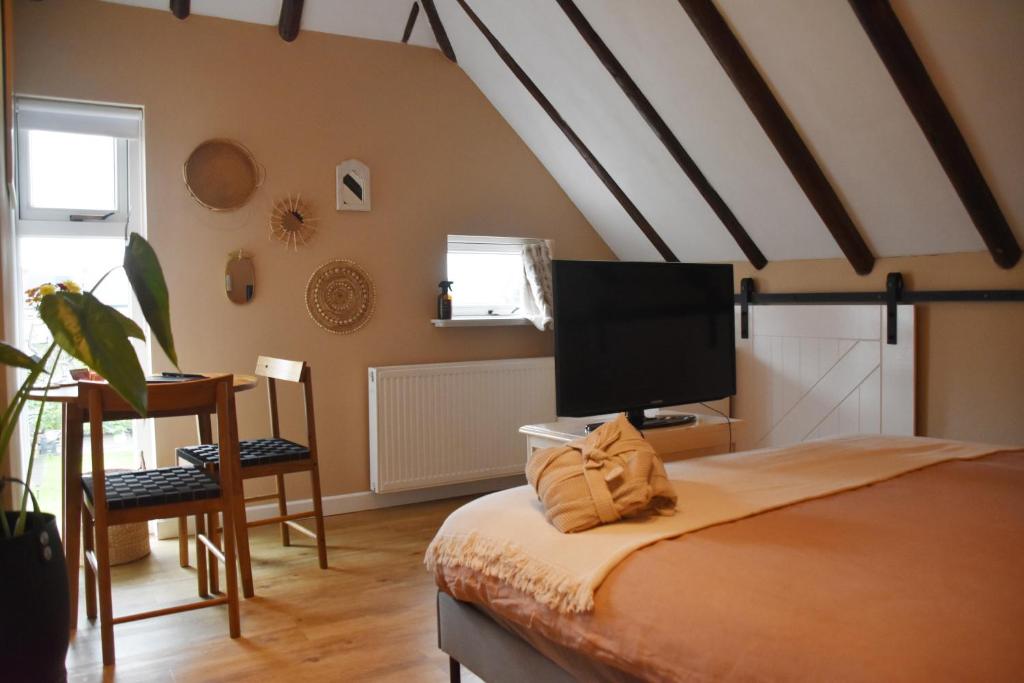 um quarto com uma cama e uma televisão de ecrã plano em Bed en Breakfast Studio Raif - Authentiek en sfeervol overnachten em Veendam