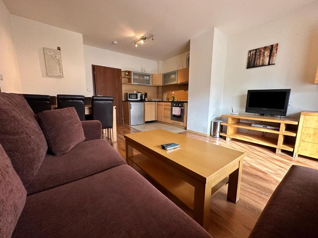 - un salon avec un canapé et une table basse dans l'établissement Top Lodge twobedroom apartment, à Bansko