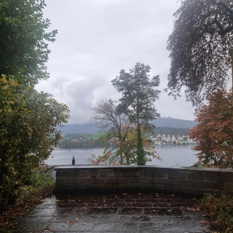 Luzern See - Resim 12