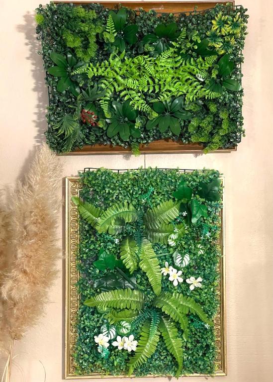 two vertical gardens with plants and flowers on a wall at Hôtel Colisée-Verdun Centre Gare Saint-Roch in Montpellier