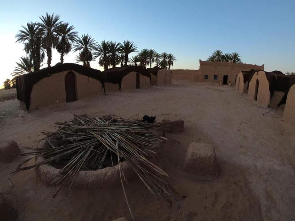 une zone désertique avec des palmiers, un bâtiment et un chat dans l'établissement ATFIL CAMP, à M'Hamid El Ghizlane