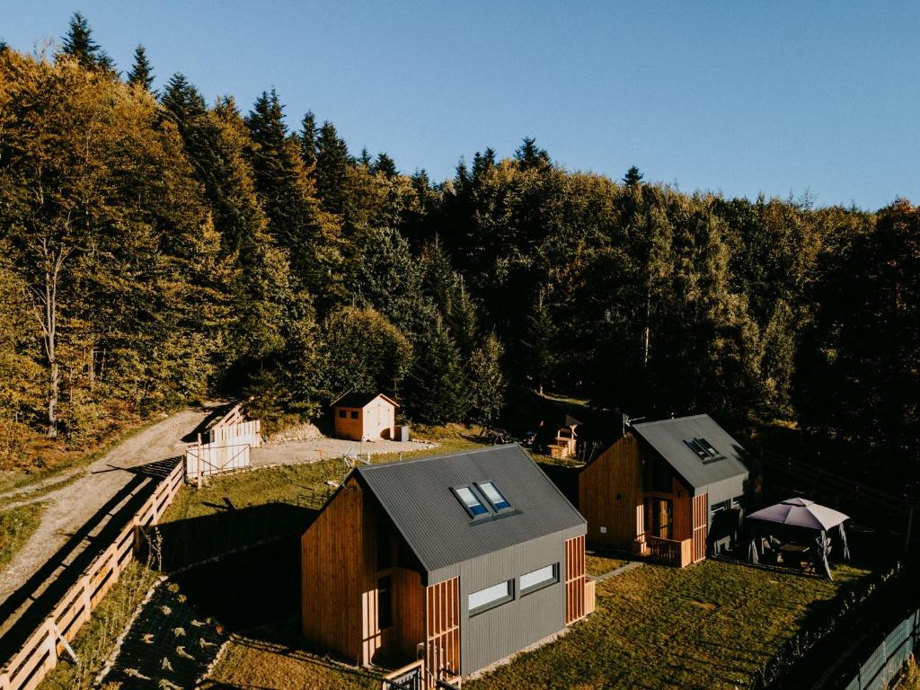 widok z powietrza na dom w lesie w obiekcie Domki pod Kamionna w Laskowej