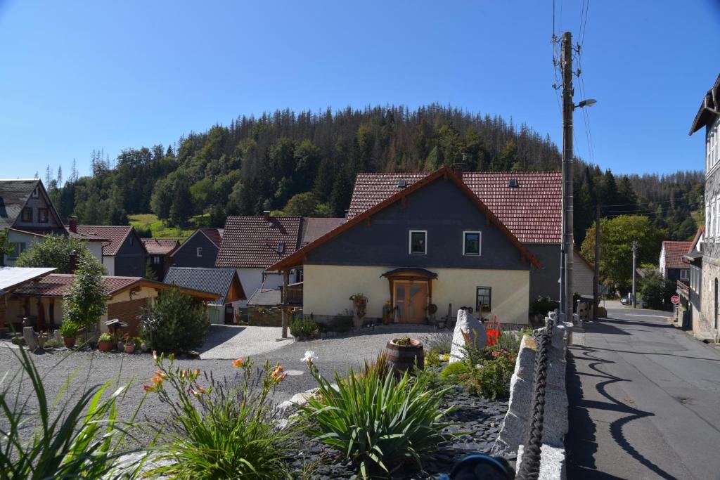 a village with a house in the middle of a street at Ferienhaus Chalet zur Werraquelle in Masserberg