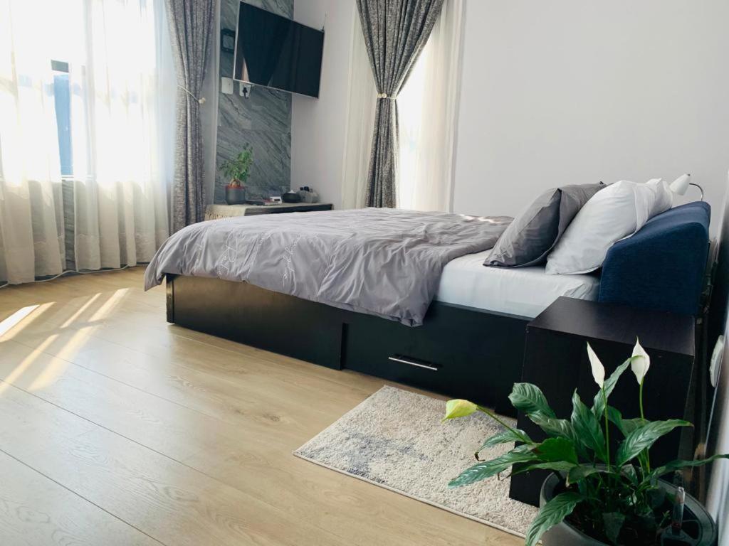 Johannesburg的住宿－Private Deluxe Bedroom with Backup Power，一间卧室配有一张床和盆栽植物