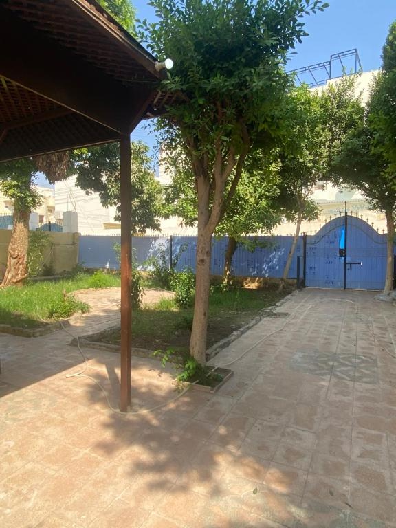 a tree in a courtyard with a blue fence at Hadi Guest House in Luxor
