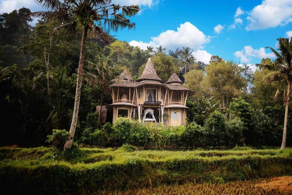 een oud huis in een veld met een palmboom bij The Nude House in Selat