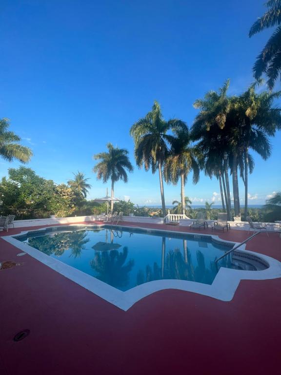 Bazén v ubytování Peaceful Palms Montego Bay nebo v jeho okolí