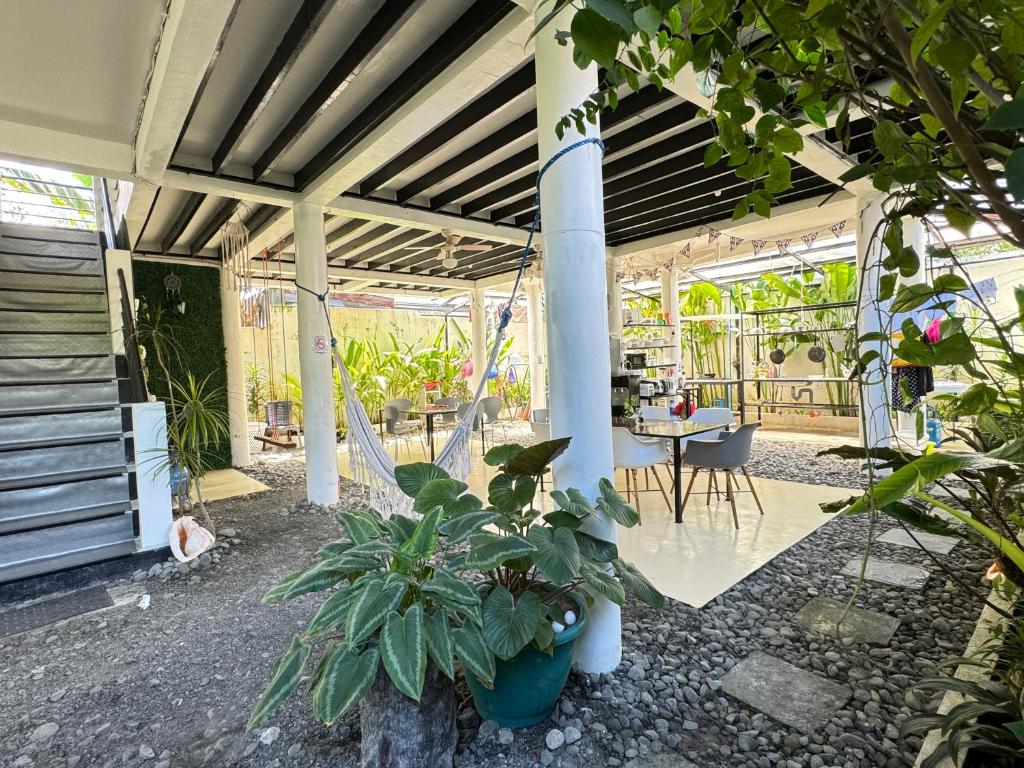 Zahrada ubytování Mahajab Homestay SIARGAO