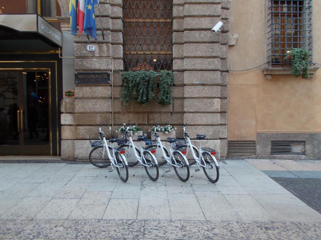 Jízda na kole v ubytování Hotel Accademia nebo okolí