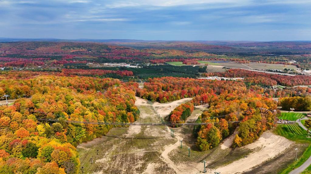 an aerial view of a forest with fall foliage at 803 Mountain Cabin in Boyne Falls