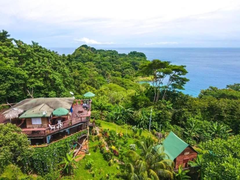 a house in the forest next to the ocean at Hostal Doble Vista in Capurganá