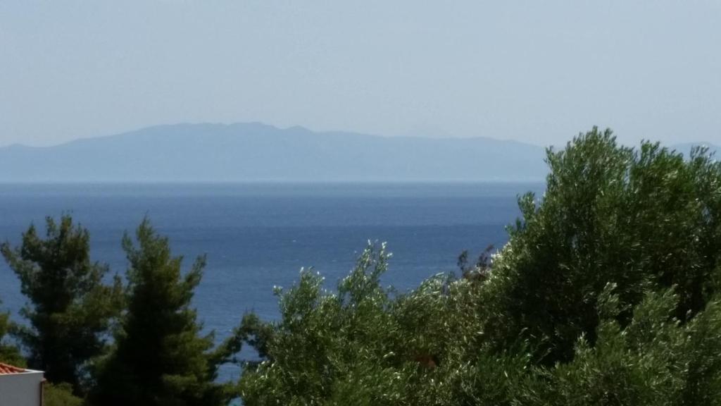 een uitzicht op de oceaan van achter enkele bomen bij Amparoudes in Kriopigi