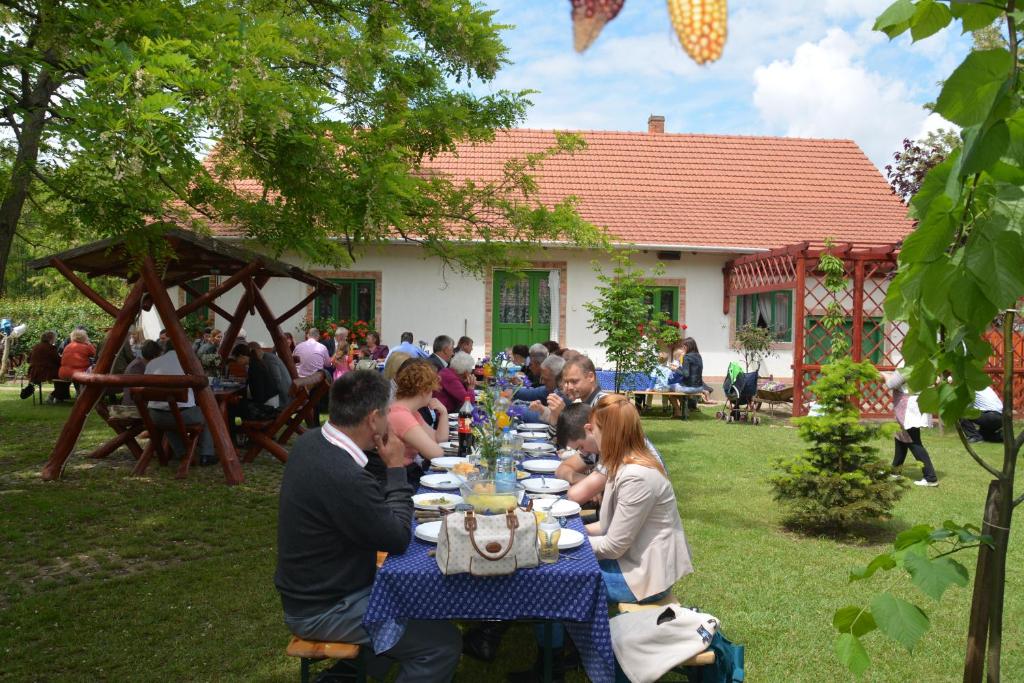 Hosté ubytování Németh Tanya Vendégház