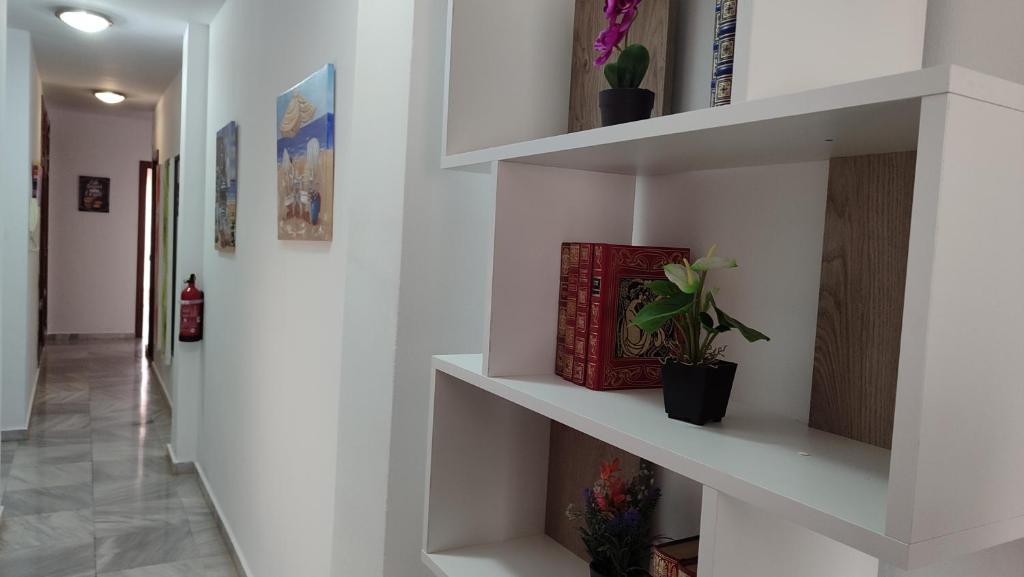 Fotografia z galérie ubytovania Apartamentos Séneca junto al Centro v destinácii Málaga