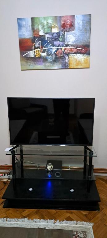 TV a/nebo společenská místnost v ubytování Apartman Žile