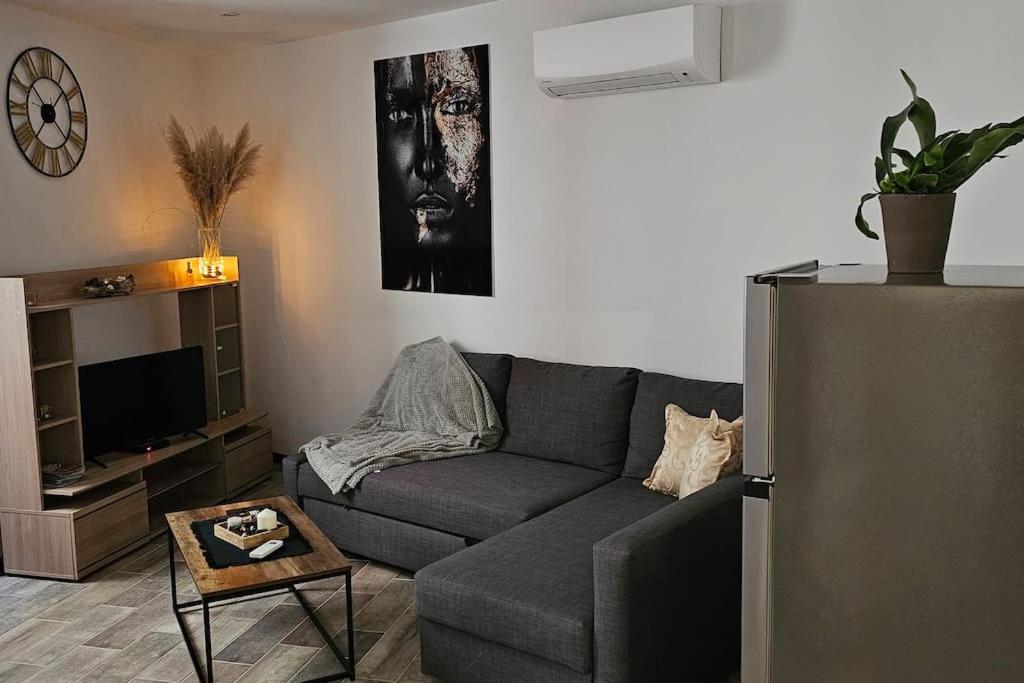 - un salon avec un canapé gris et une télévision dans l'établissement Appartement Kantar- La dame d'OR, à Anduze