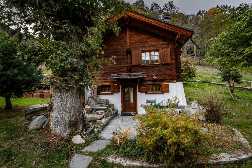 Zahrada ubytování Chalet Les Rindes