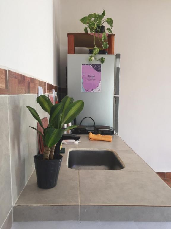 encimera de cocina con fregadero y planta en LO DE BETTY en Villa Unión