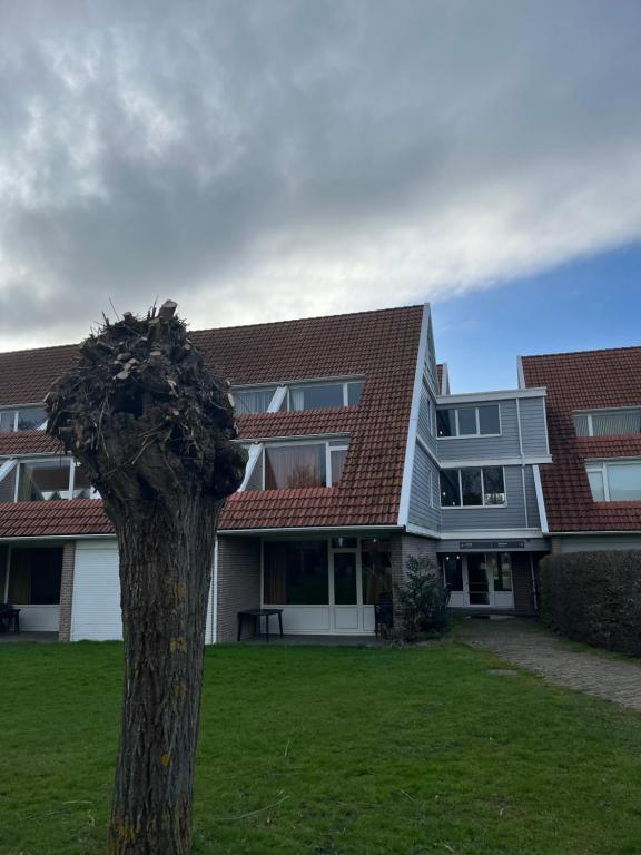 een gebouw met een boom ervoor bij Appartement 228 Bruinisse in Bruinisse