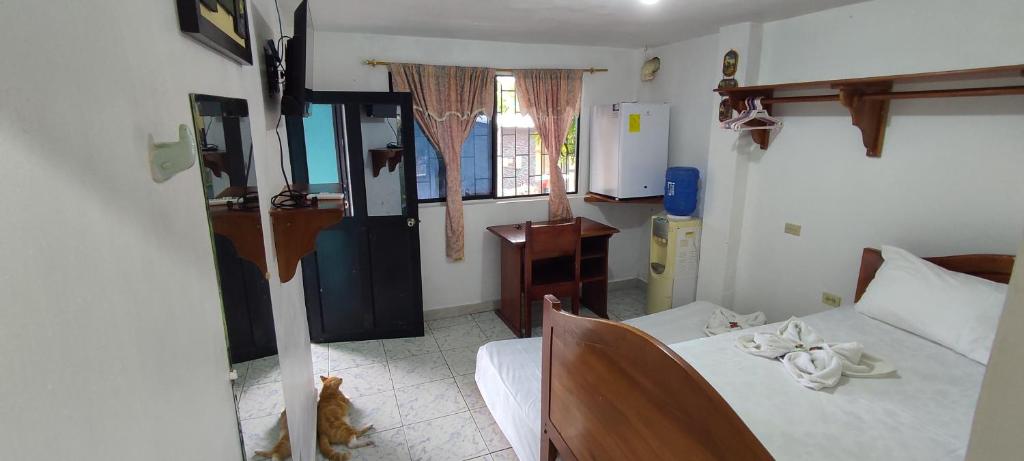 um quarto com uma cama e um gato sentado no chão em Flor's House em San Cristóbal