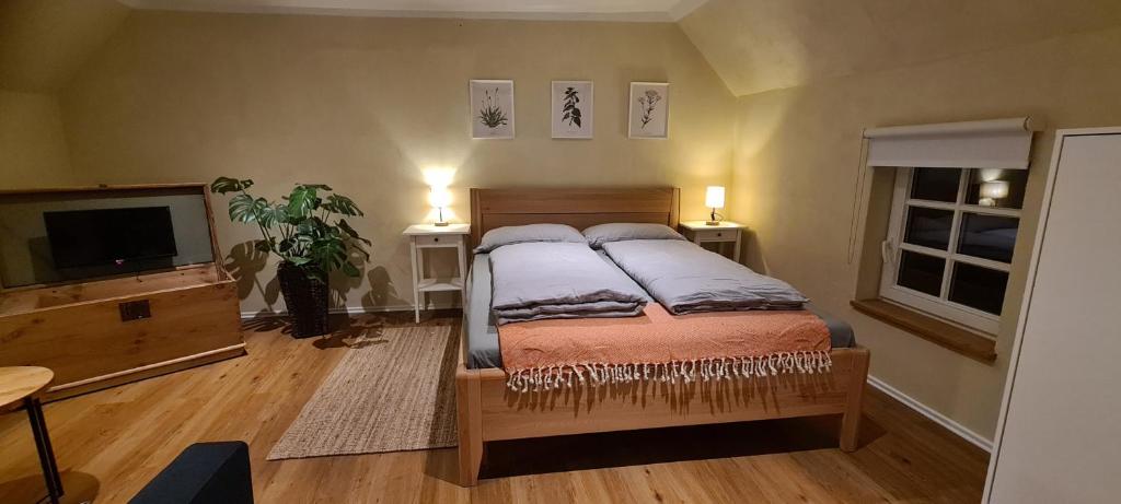 Cette chambre comprend un lit avec deux oreillers et une télévision. dans l'établissement Jedermanns Nest, à Nümbrecht