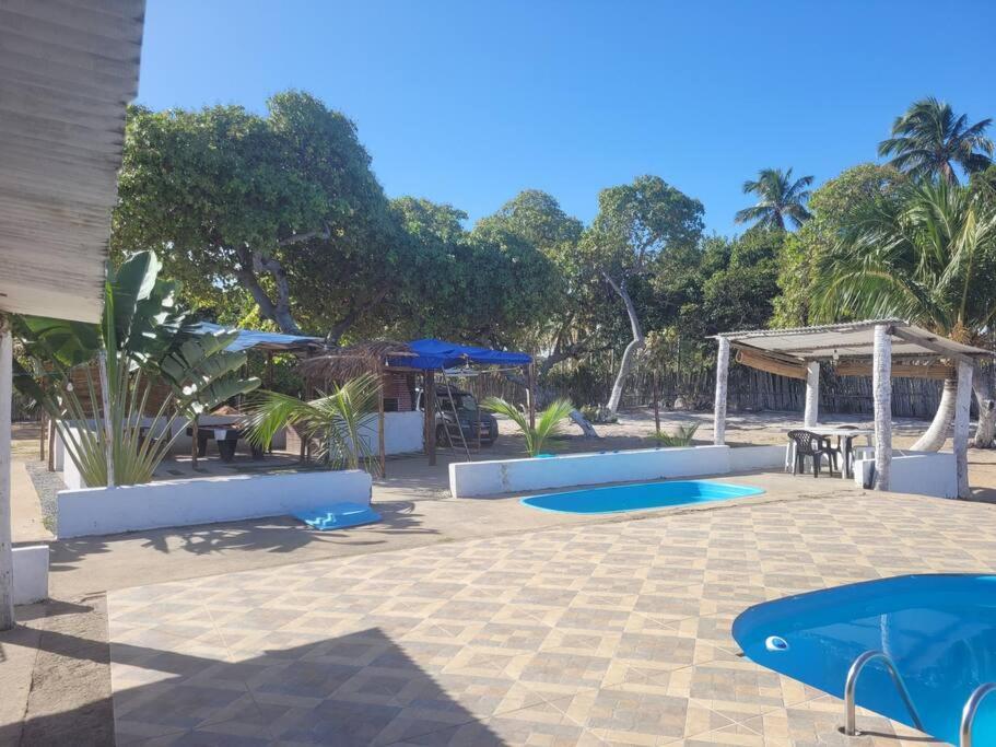 a patio with two blue trays and tables and trees at Villa D Mariscos in Paripueira