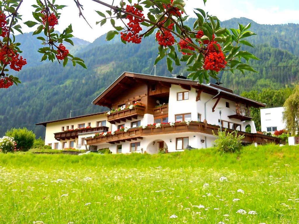 Ferienhaus Alpina Ötztal في ساوتينس: مبنى على قمة تل مع حقل أخضر