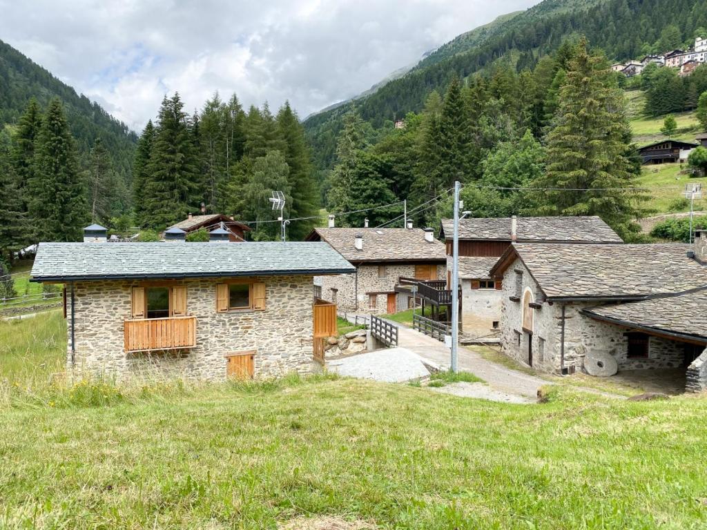 Příroda nedaleko apartmánu