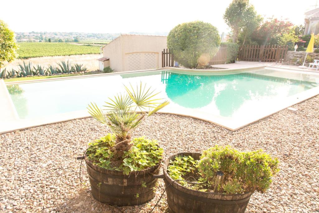 a swimming pool with three potted plants next to it at Domaine Sant Apolis - Cazouls les Béziers in Puisserguier