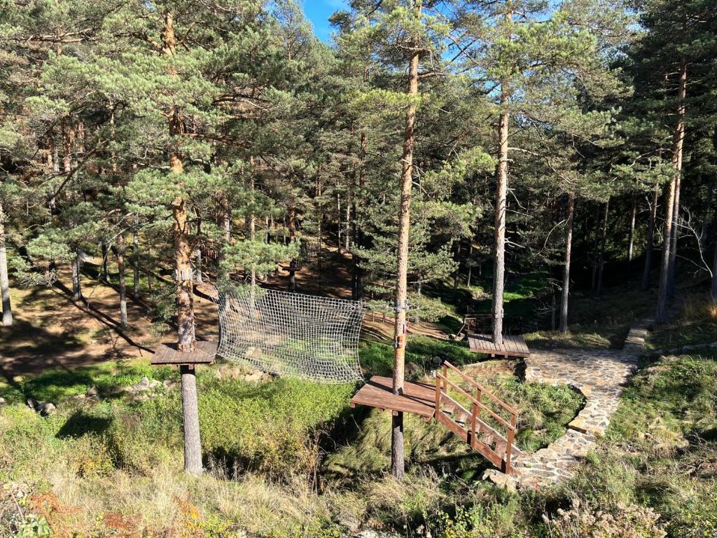 Příroda nedaleko apartmánu