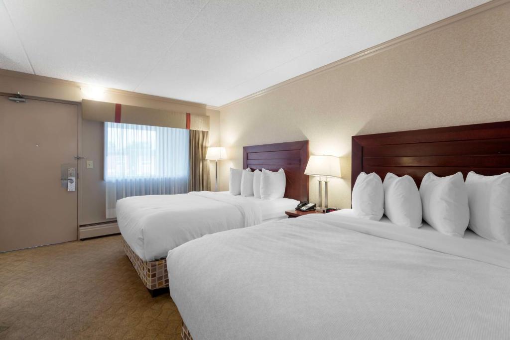 
Standard Queen Room with Two Queen Beds
