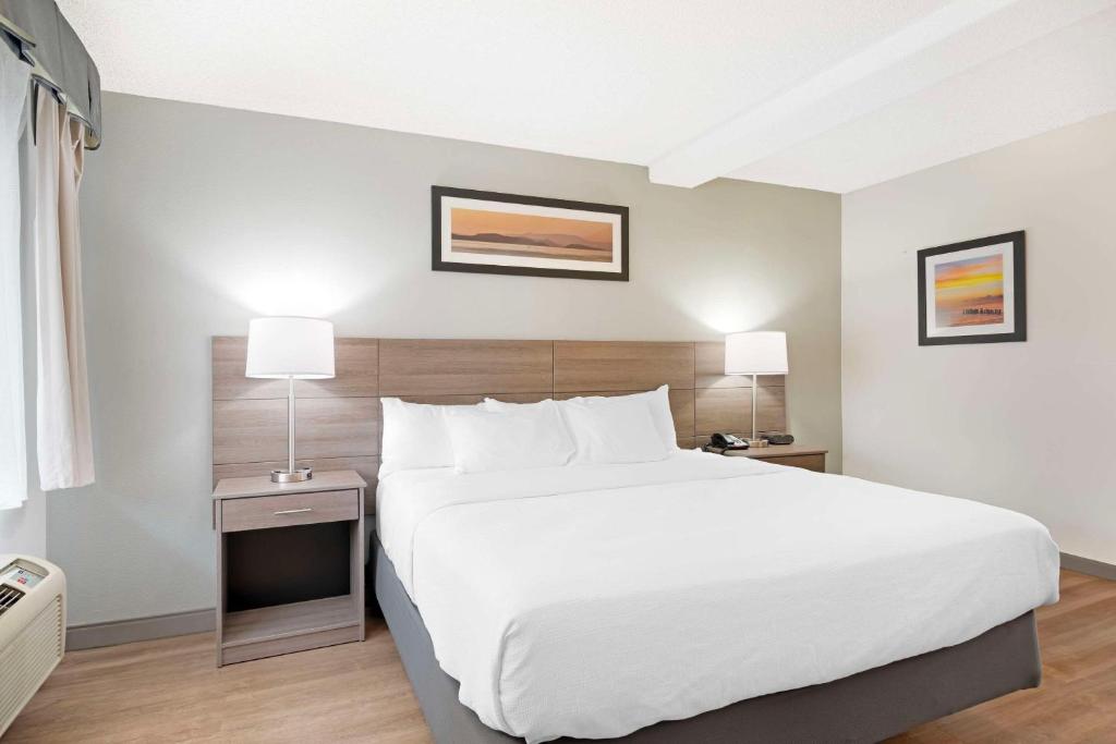 a bedroom with a large white bed and two lamps at Quality Inn Idaho Falls in Idaho Falls