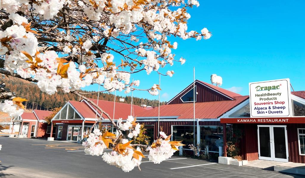 a town withakura trees in front of a building at AWA Hotel in Rotorua