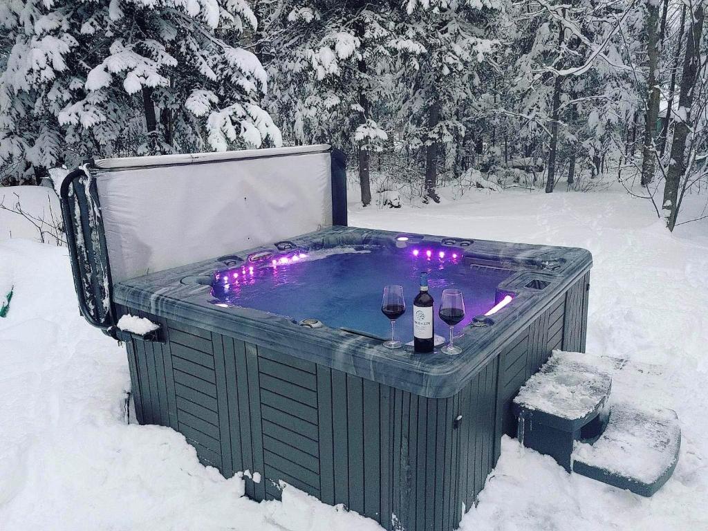 een hot tub met 2 glazen wijn in de sneeuw bij Chalets du Domaine - RUSTIQUE in Notre-Dame-Des-Bois