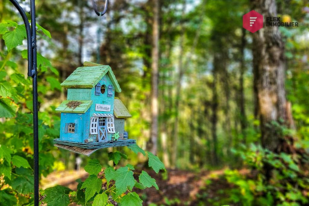 Fotografie z fotogalerie ubytování Le Coureur des bois de Portneuf - Private hot tub Pool Sauna Trails v destinaci Pont-Rouge