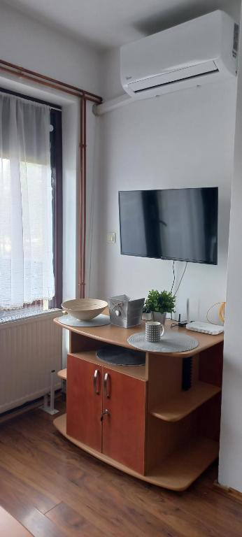 TV a/nebo společenská místnost v ubytování Divčibare Snežna Kraljica ap 13