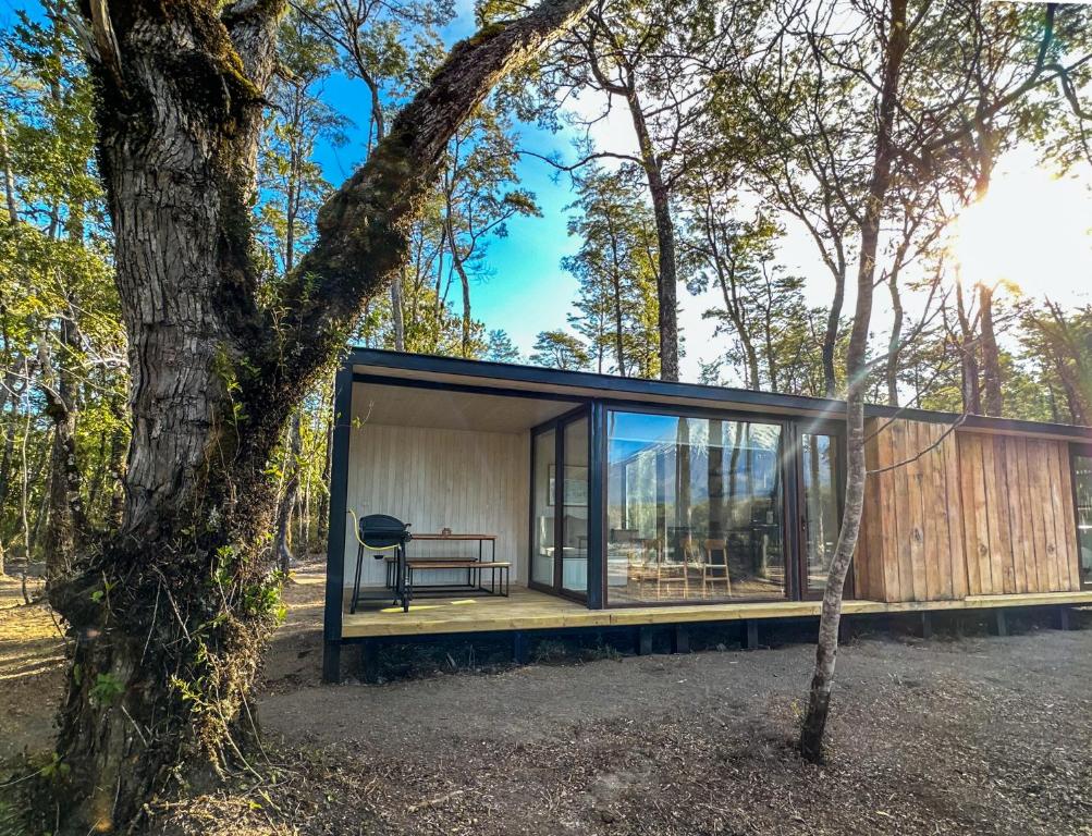 a glass house in the woods with a tree at Carintia Cabins in Puerto Varas