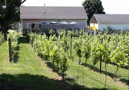 Zahrada ubytování The Langworthy Inn & Winery