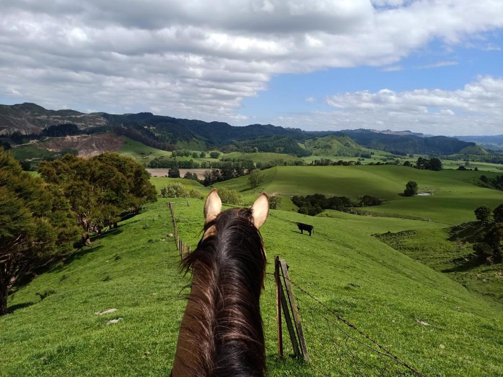 Renagour Cottage - Farmstay with Hot Tub! - Resim 22