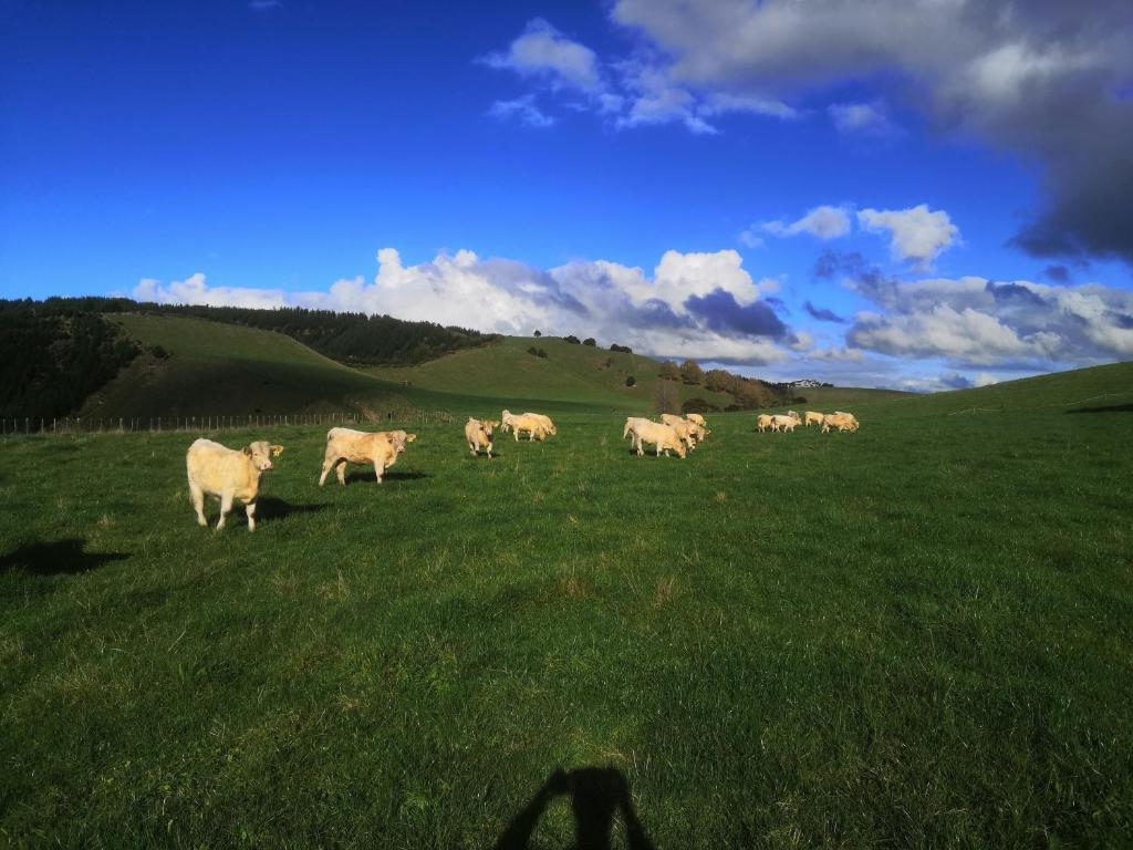 Renagour Cottage - Farmstay with Hot Tub! - Resim 25