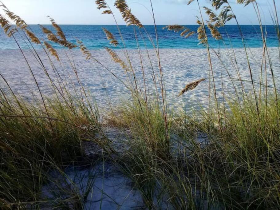 a beach with some tall grass and the ocean at Apartment near Grace Bay Beach in Providenciales