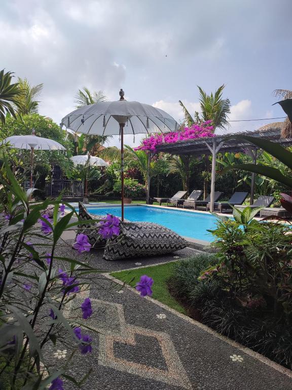 D Anyar Stay and Surf - 13